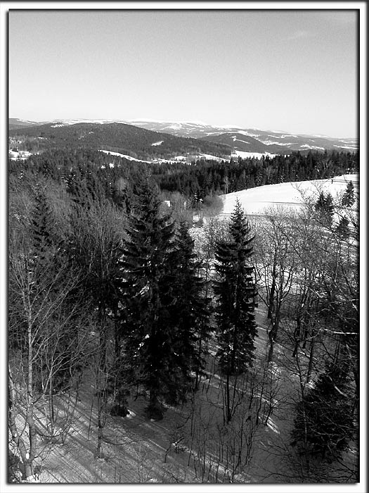 Výhledofka obecná - Jizerskokrkonošská