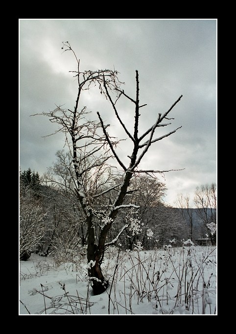 STROM
