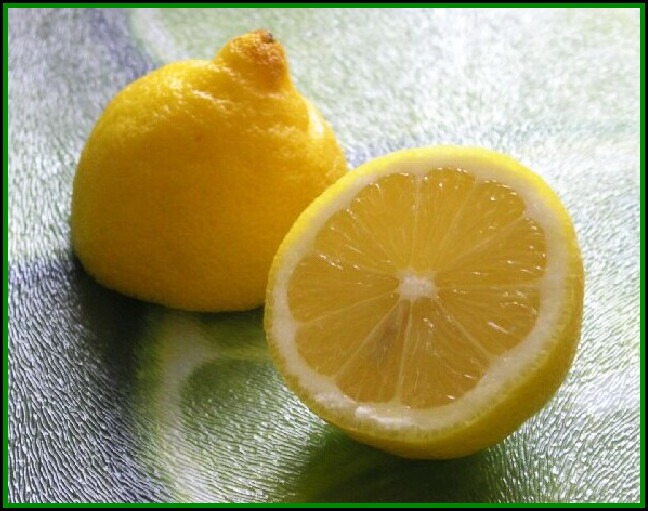Citron obecný..:)