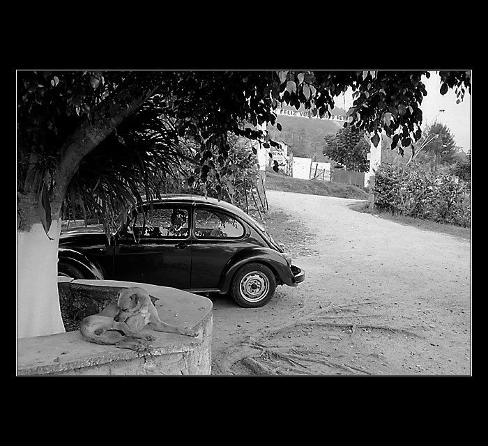 hrisny poklid mexickeho venkova