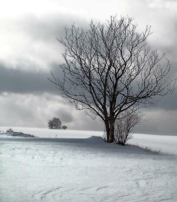 Vysočina