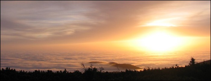 16:9