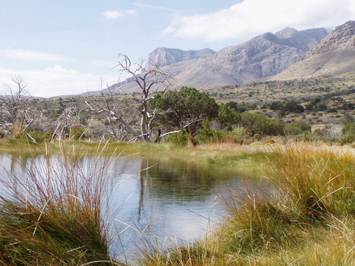 Národní park Gadaloupe, USA