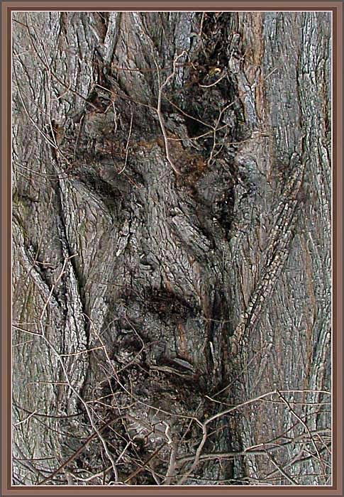 Pojď a svěř se mi...