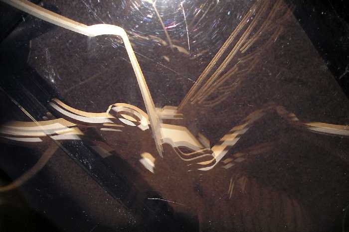 Stoned Mosquito