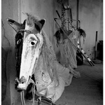 MASOPUSTNÍ MAŠKARY III. - ČEKAJÍCÍ ...