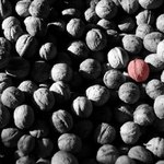 sem tam oříšek...