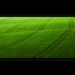 <b> - fresh green II. -</b>