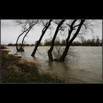 ...a zase stoupa....