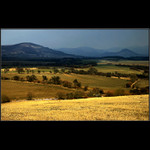 Jen chvíle ve slunci....