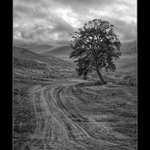 <b> - Před bouří - </b>