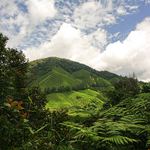 Cameronova vysočnina