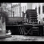 Kolo II