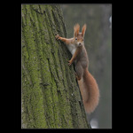 <b>* Drž se holka ! *</b>