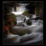 <b>* Jesenické tání *</b>