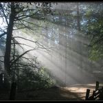 Cilem je cesta. (Zenové přísloví)