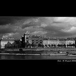 <B>DALŠÍ KOCOUŘÍ KLASIKA ...</B>