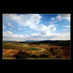 Vinohrady oddychujú