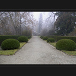 Welcome to the fairy garden