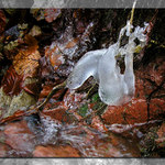 Akt přírody v proudu času