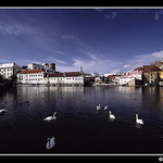 Labutí jezero