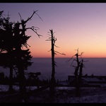 citim potrebu takto vyjadrit sve emoce