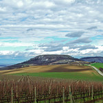 Pálava I - shit, viz. komentář