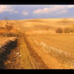 sahara po česku....