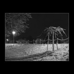 <b>***WINTER\'S LAST COMEBACK***<b>