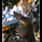 Vrátíš se mi zítra, sluníčko ?