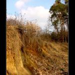 Severočeské předjaří