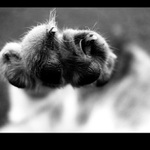 <b>...[.kocicka.]...</b>