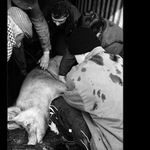 <b>...[.pet na jednoho.]...</b>