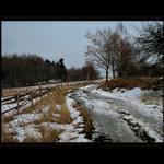 ...cesta v pastvinách