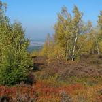 Podzimní dopoledne v Brdech
