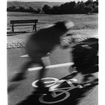 ...snad se mi jen něco zdálo... II