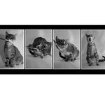 Každodenní hygiena