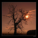 Posledné lúče nádeje