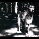 Kde se vzal, tu se vzal...