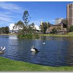 Adelaide