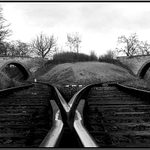 )(   Kudy dál ?   )(