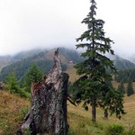 Chata pod Borišovom