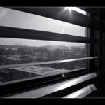 2004 - vyhlížení jara