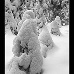 Trpaslíci medzi obrami