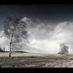 Ledová královna se nechce vzdát