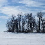 Ostrov
