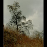 Jen tak si tam stála....