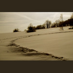 Snad už poslední zimní...