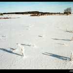 Nové Hutě na Šumavě (3/8)