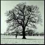 Velký a malý; Starý a mladý; Moudrý a ...